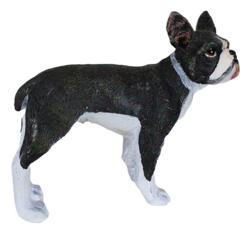 Realistic Miniature Boston Terrier Puppy Dog With Faint Red Face Figurine