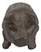 Cast Iron Country Rustic Farmhouse Swine Pig Bacon Decor Paperweight Figurine