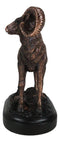 Wildlife Animal Taxidermy Bighorn Sheep Ram On Grassland Figurine With Base