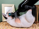 Her Majesty Regal Drinking Siamese Cat Wine Bottle Holder Rack Or Stand Figurine