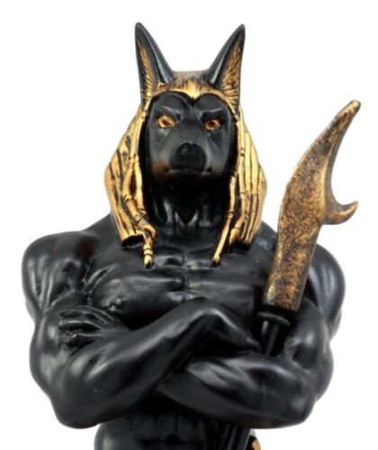 Ebros Ancient Egyptian God Anubis Figurine 11" Tall Jackal God Mummification