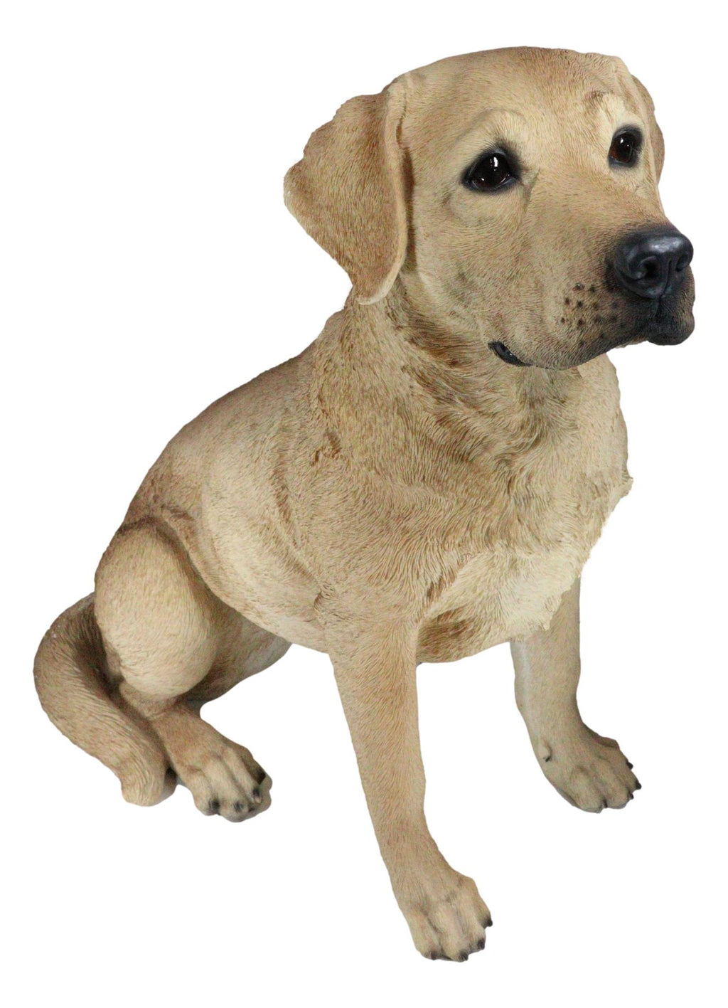 Ebros Large Realistic Lifelike Yellow Labrador Retriever Statue 21