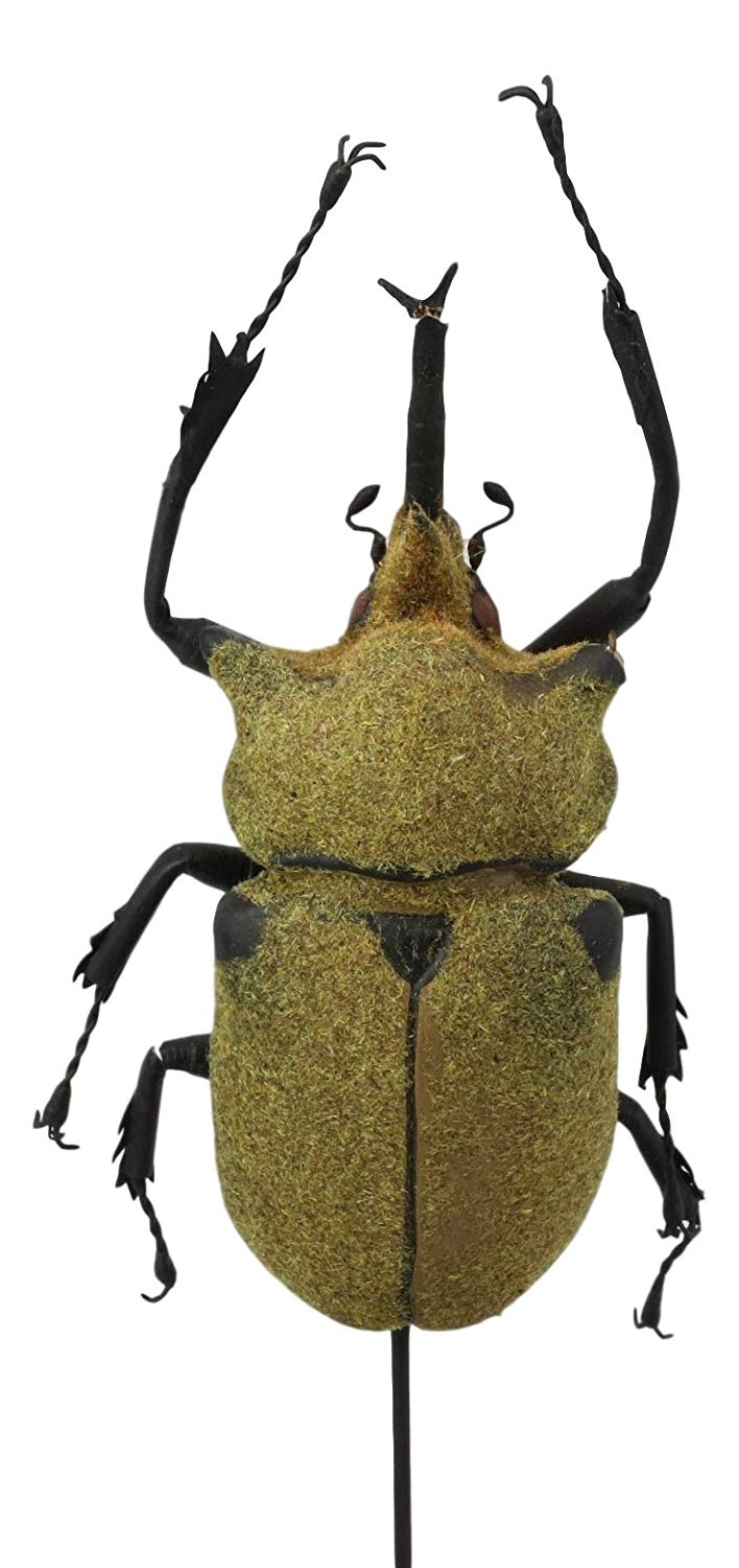 Ebros Exotic Entomology Beetle Faux Taxidermy Sculpture in Victorian Glass Dome Cloche Display Educational 3D Model Or As Mantelpiece Shelf Table Decoration Museum Gallery Figurine (Elephant)