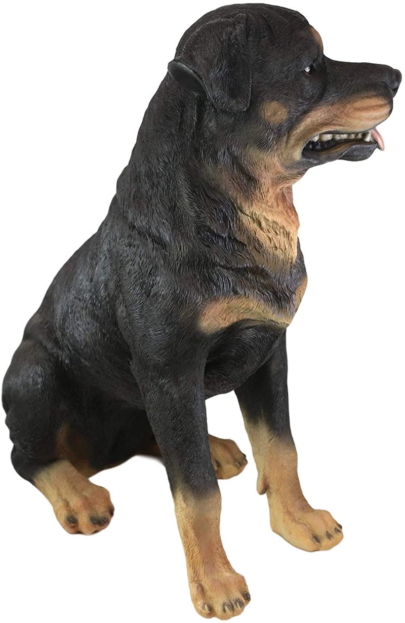 Ebros Sitting Rottie Rottweiler Dog Statue 21" Tall With Glass Eyes Collectible
