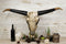 Western Rustic Large 38"Wide Longhorn Steer Cow Skull Wall Head Hanging Plaque