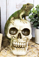 Jointed Human Skull With Iguana Lizard Figurine Halloween Spooky Macabre Decor