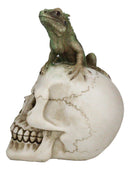 Jointed Human Skull With Iguana Lizard Figurine Halloween Spooky Macabre Decor