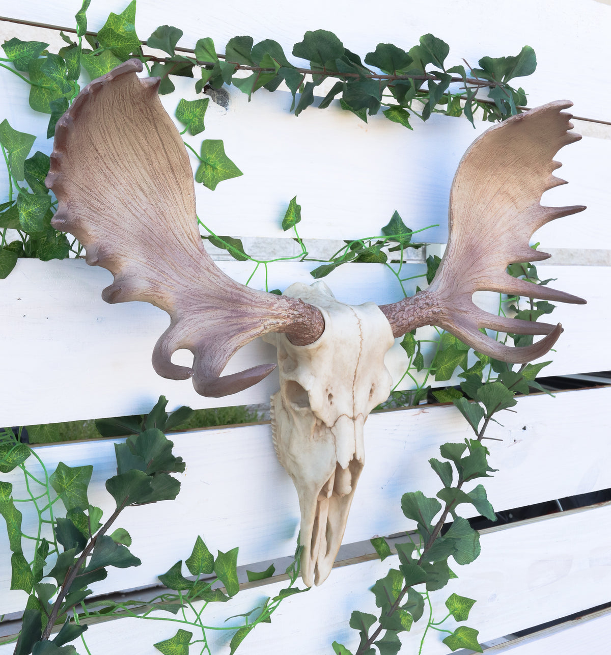 Czar North American Bull Moose Skull Wall Decor 22"Wide Wall Mount Plaque Art