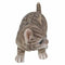 Lifelike Crouching Grey Striped Tabby Cat Statue 8.25"Long Realistic Glass Eyes