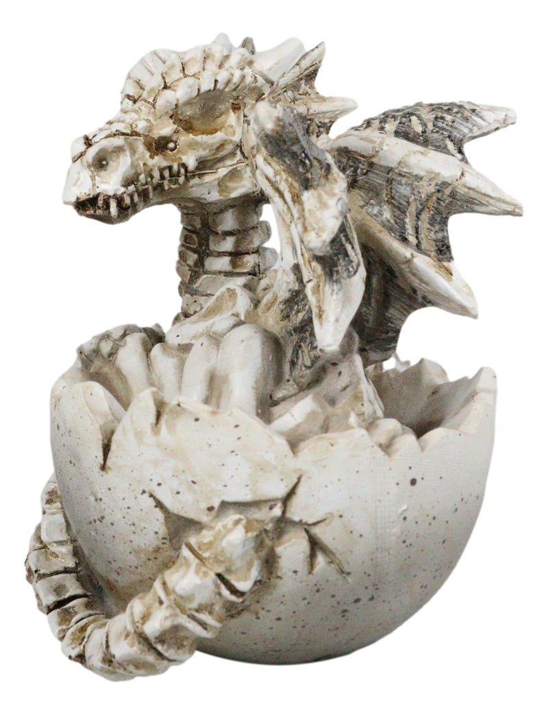 Ebros 4.5" Long Skeleton Bone Wyrmling Dragon Hatchling From Egg Statue Figurine - Ebros Gift