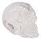 Ebros Clear Translucent Witching Hour Gazing Skull Miniature Figurine 2.5" Long