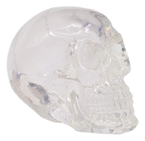 Ebros Clear Translucent Witching Hour Gazing Skull Miniature Figurine 2.5" Long