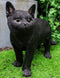 Large Lifelike Mystical Standing Black Cat Kitten Statue With Glass Eyes15"L