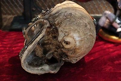 Steampunk Machine Dark Light Nude Colored Closed Mouth Skull Figurine 7.25"L