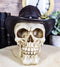 Western Cowboy Rodeo Skull Statue 6.75"Long Day Of The Dead Skull Figurine