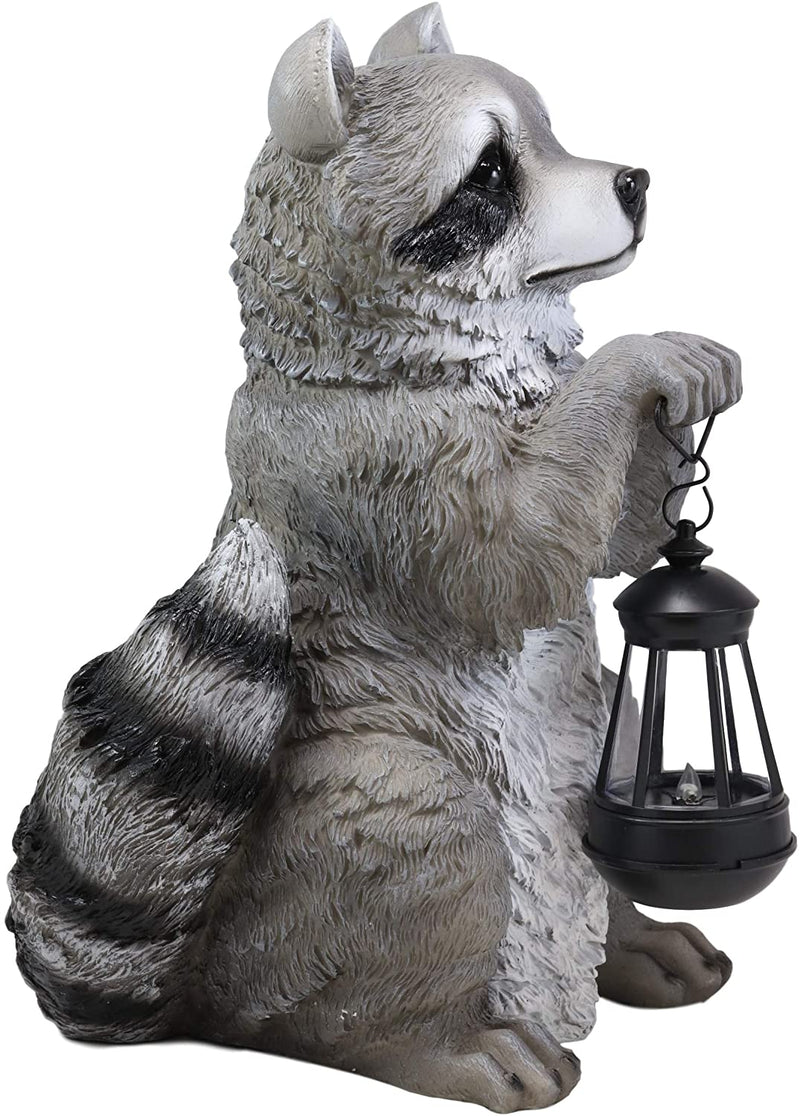 Ebros Night Bandit American Raccoon Statue Holding Solar Lantern LED Light 15"H