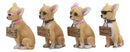 Ebros Set of 4 Adorable Tea Cup Chihuahua Dog Holding Humorous Signs Small Figurines 4.25"Tall