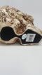 Skull Engraved with Floral Patterns Collectible Desktop Figurine Gift 6 Inch