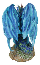 Amy Brown Strange Encounter Blue Dragon With Toadstool Pixie Fairy Figurine