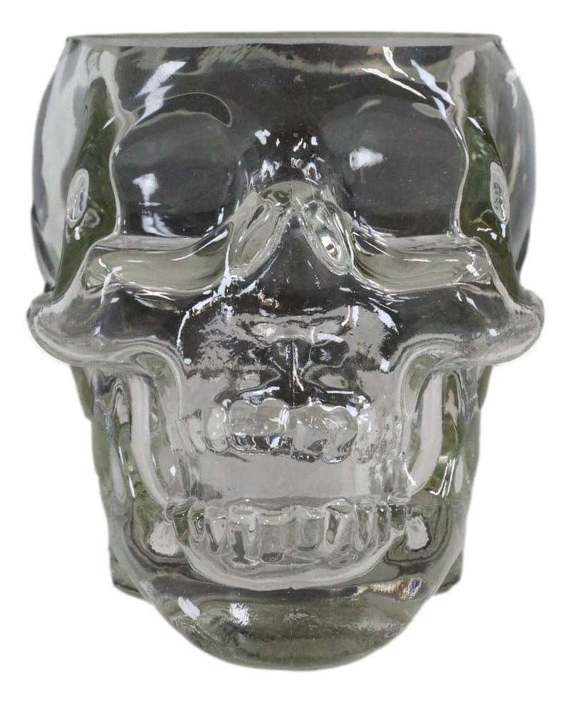 Ebros Skeleton Skull Glass Bowl Drink Stationery Office Holder Figurine Collectible