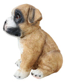 Lifelike Fawn Boxer Puppy Dog Sitting Figurine Pet Pal Pedigree Dogs Canine