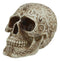 Celtic Astrology Tribal Knotwork Tattoo Relic Skull Statue 6"L Skeleton Cranium