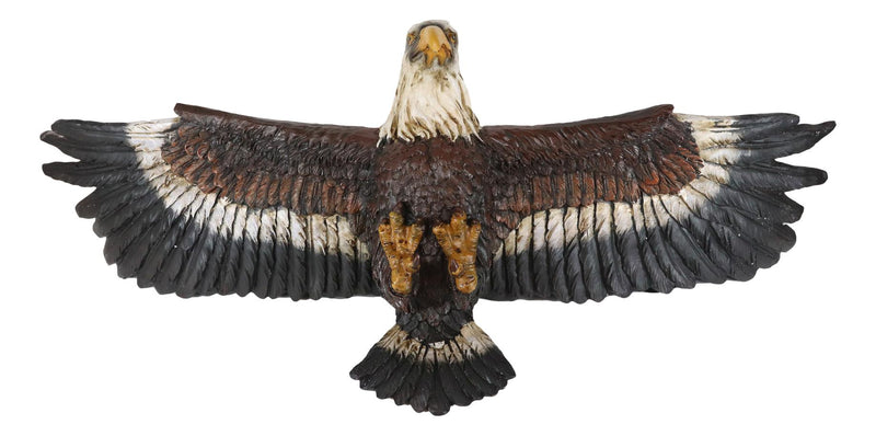 Majestic Bald Eagle Flying with Wide Open Wings Wall Hanging Floating Shelf 22"L