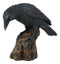 Perching Raven On Rock Statue 5" Tall Gothic Crow Scavenger Bird Decor Figurine