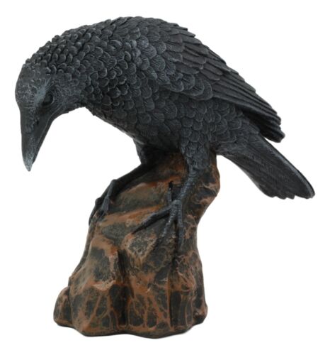 Perching Raven On Rock Statue 5" Tall Gothic Crow Scavenger Bird Decor Figurine