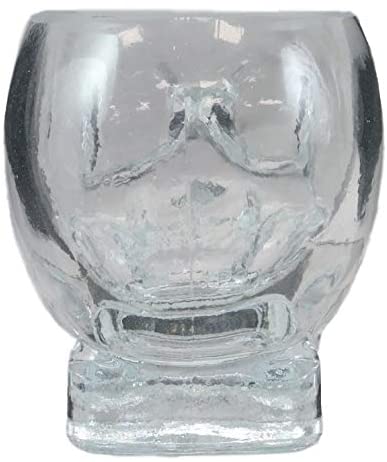 Ebros Set of 2 Translucent Acrylic Skeleton Skull Face Liquor Shot Glass Shooters