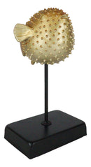 Coastal Marine Faux Taxidermy Golden Pufferfish Fish Sculpture On Pole Mount