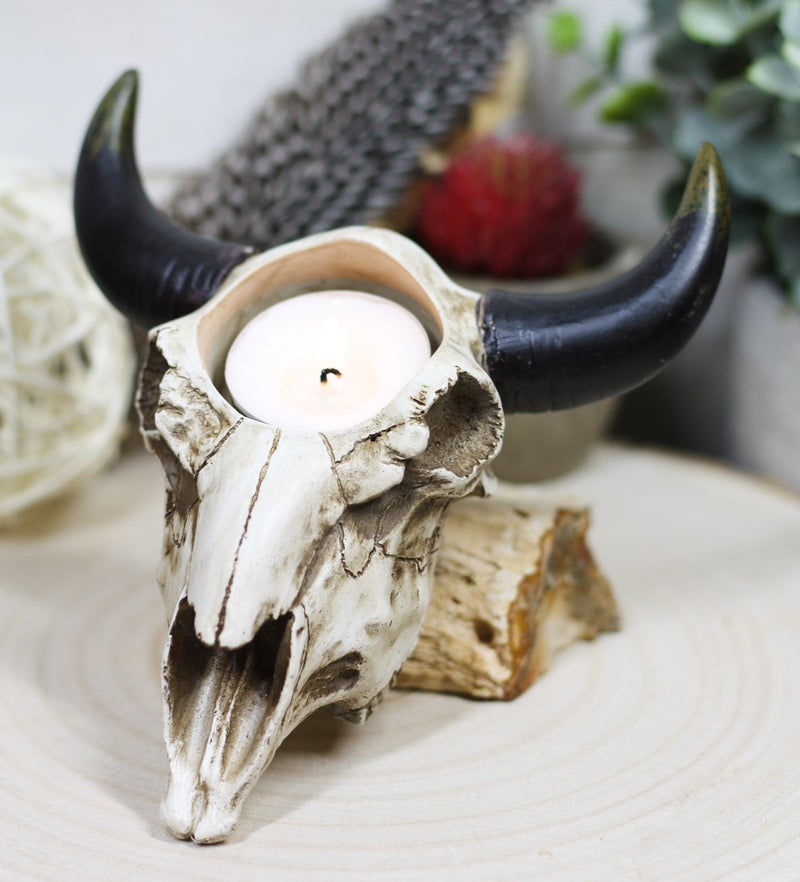 Cow clearance skull light