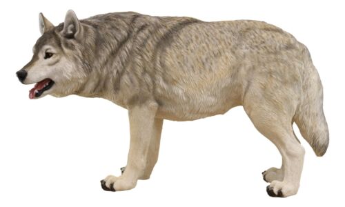 Ebros Large 4 Feet Long Wildlife Alpha Gray Wolf Statue Realistic Timber Wolf Decor