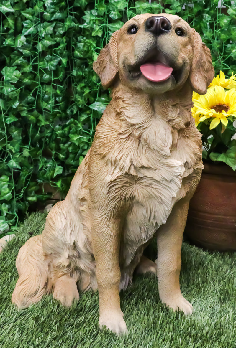 Ebros Lifelike Realistic Buddy Golden Retriever Statue 20.5" Tall Fine Pedigree Dog Breed Collectible Decor with Glass Eyes