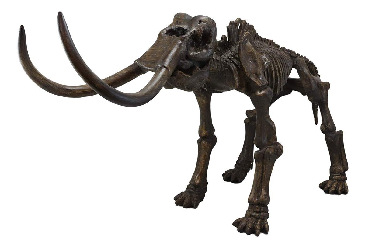 Ebros Prehistoric Elephant Jurassic Era Woolly Mammoth Fossil Skeleton 30"Long