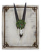Rustic Western Oryx Gazelle Antelope Skull With Green Roses Wall Decor Plaque