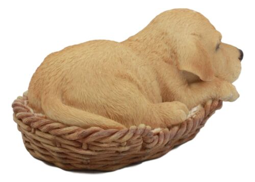 Ebros Lifelike Adorable Labrador Retriever Dog Sleeping in Wicker Basket Statue 6.25" Long Realistic Pet Pal Dog Breed Collectible Resin Decor Figurine