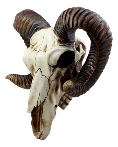 Large Bighorn Ram Skull Wall Decor 11" Wide Taxidermy Hanging Sculpture Plaque