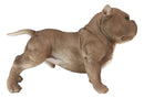 Ebros Animal World Realistic American Bully Dog Home Decor Resin Figurine 18"L