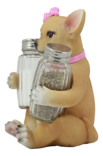 Ebros Bonita Pretty In Pink Girl Chihuahua Dog Salt And Pepper Shakers Holder