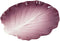 Ebros 9.25" Wide Red Cabbage Leaf Shaped Serving Plate or Dish Platter Set Of 3