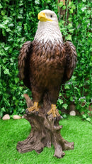 Ebros Large 27" Tall Realistic American Pride Mountain Golden Bald Eagle Perching On Tree Stump Statue USA National Emblem Independence Day American Gallery Quality Home Patio Decor Figurine
