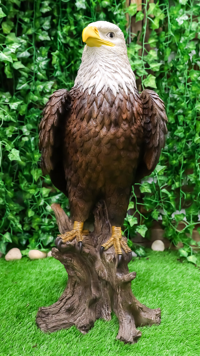Ebros Large 27" Tall Realistic American Pride Mountain Golden Bald Eagle Perching On Tree Stump Statue USA National Emblem Independence Day American Gallery Quality Home Patio Decor Figurine