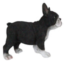 Realistic Lifelike Black French Bulldog Frenchie Puppy Dog Figurine Pet Pal