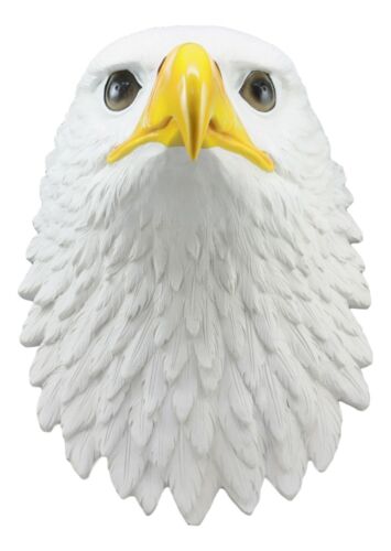 Large 16"H Majestic Bald Eagle Wall Decor Patriotic American Eagle Wall Plaque