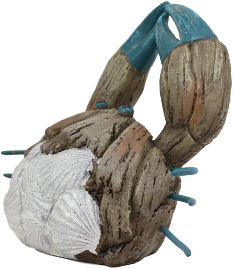 Ebros Ocean Marine Pincer Crab with Sea Shells Resin Decorative Figurine 7.25" L