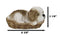 Ebros Realistic Life Like Shih Tzu Sleeping In Wicker Basket Statue Puppy Dog Figurine