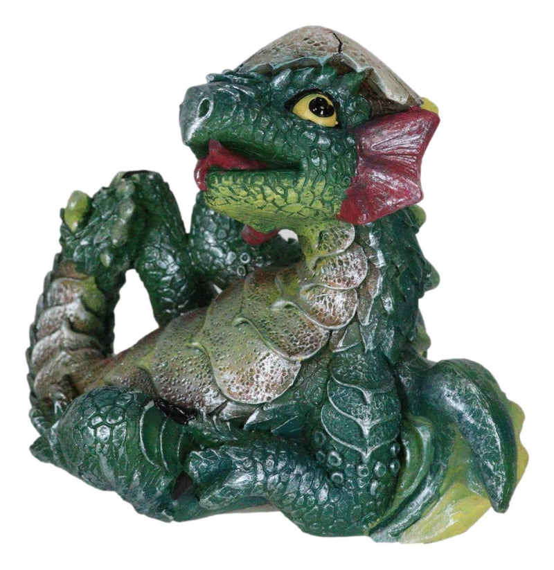 Adorable Green Earth Dragon Hatchling Baby Egg Shell Figurine 2.75"H Collectible