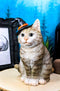 Ebros Gray Tabby Cat with Wizard Witches Hat Collectible Home Decor Figurine