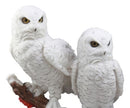 Ebros Mystical Two White Snowy Owl Couple Perching On Tree Branch Statue 12.25"Tall